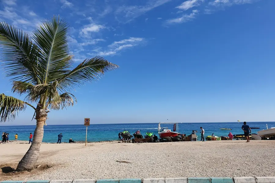 مراکز فلای برد کیش کجاست؟