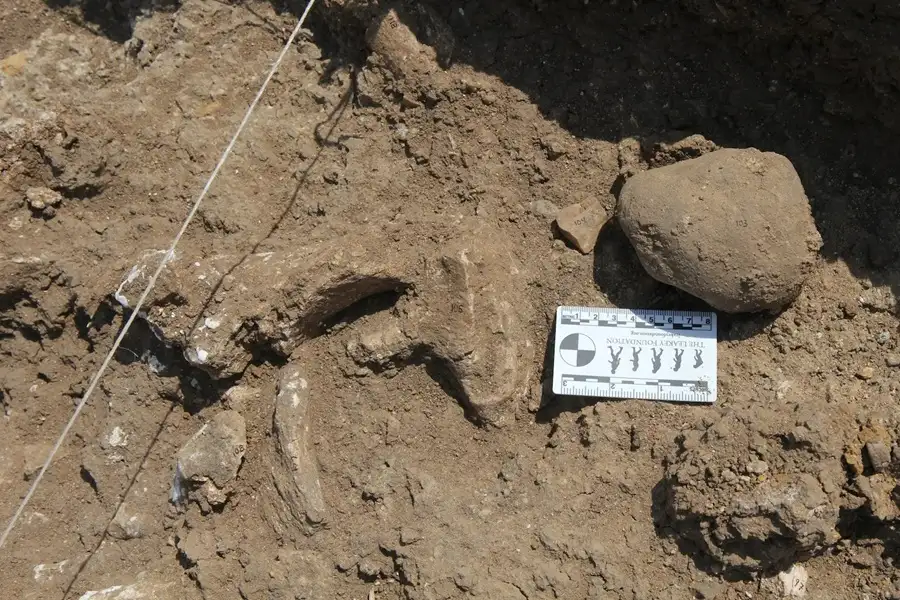 ابزارهای سنگی در سایت نیایانگا