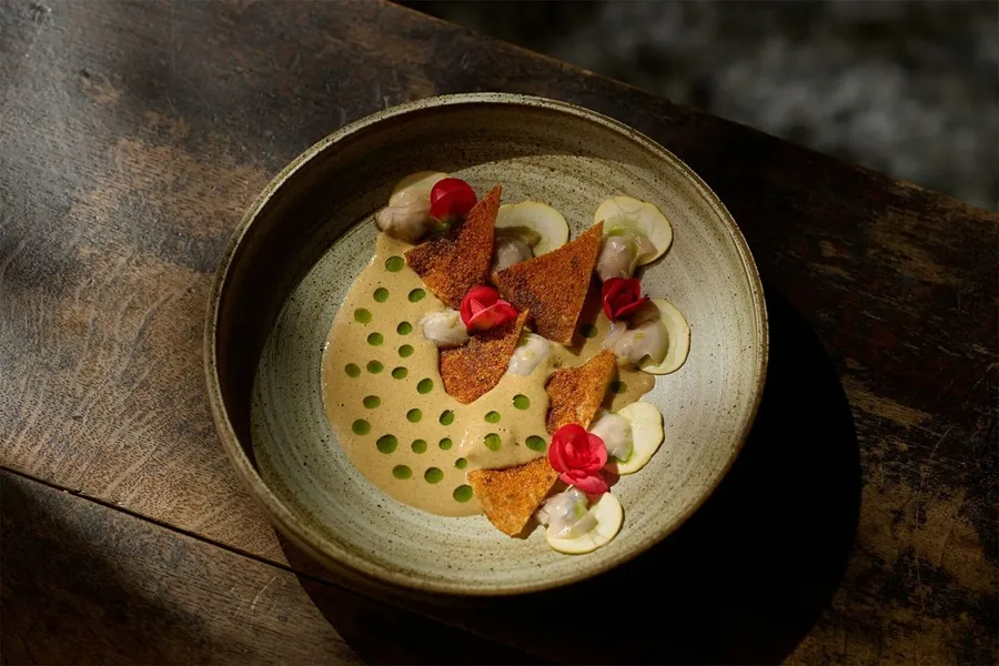 زیبایی در اوج سادگی در این غذای دریایی