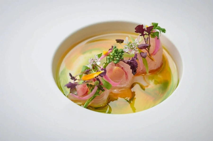 نوعی سوپ دریایی