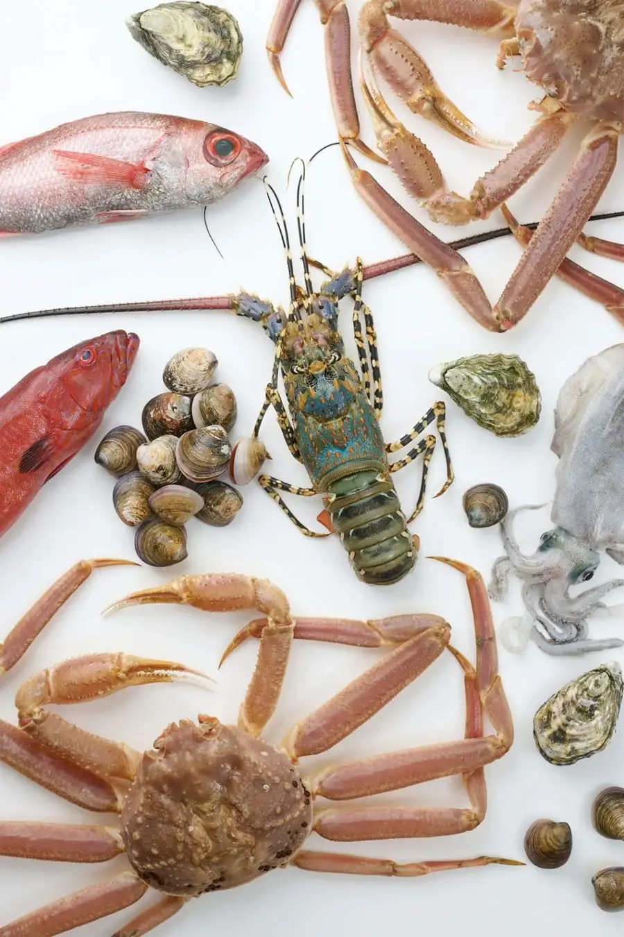 بشقابی با طعم‌های لذیذ