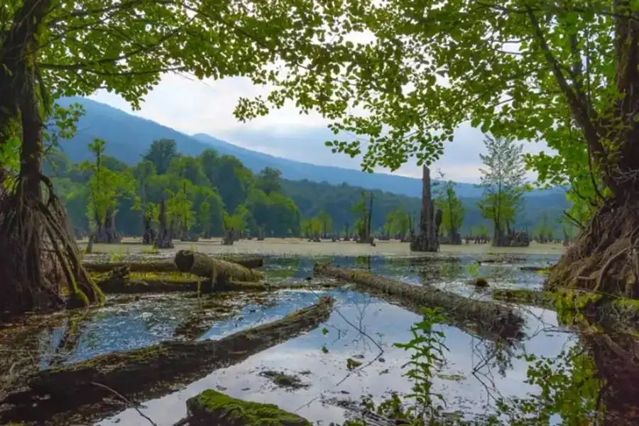 تالاب ارواح مازندران: سکوت مردگان در آغوش مه