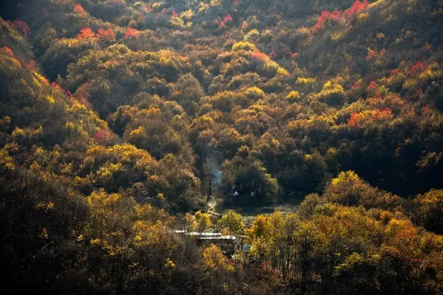 جنگل ارسباران یکی از جاهای دیدنی تبریز در پاییز