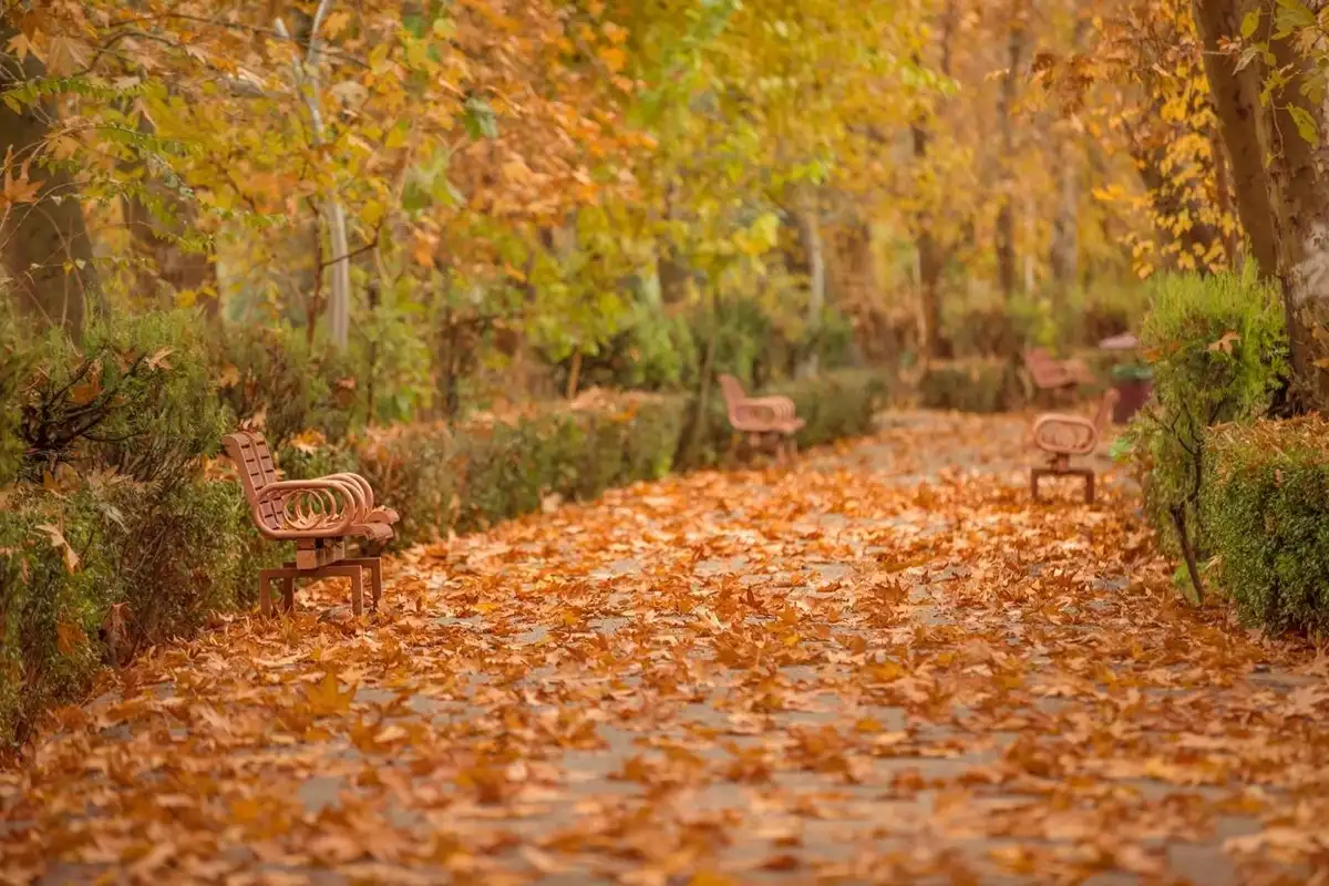 جاهای دیدنی اصفهان در پاییز