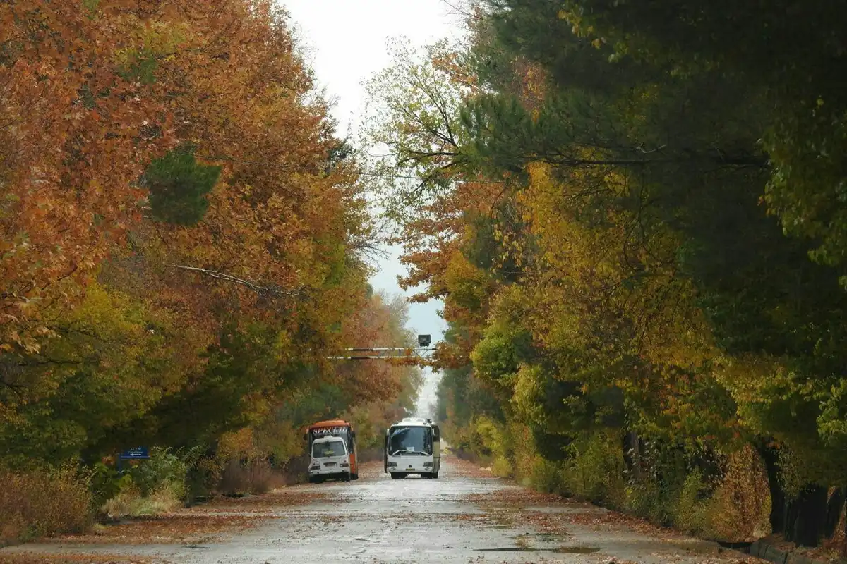 جاهای دیدنی شیراز در پاییز