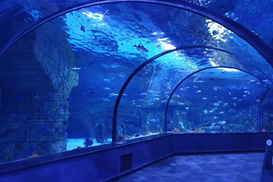 تونل آکواریوم انزلی