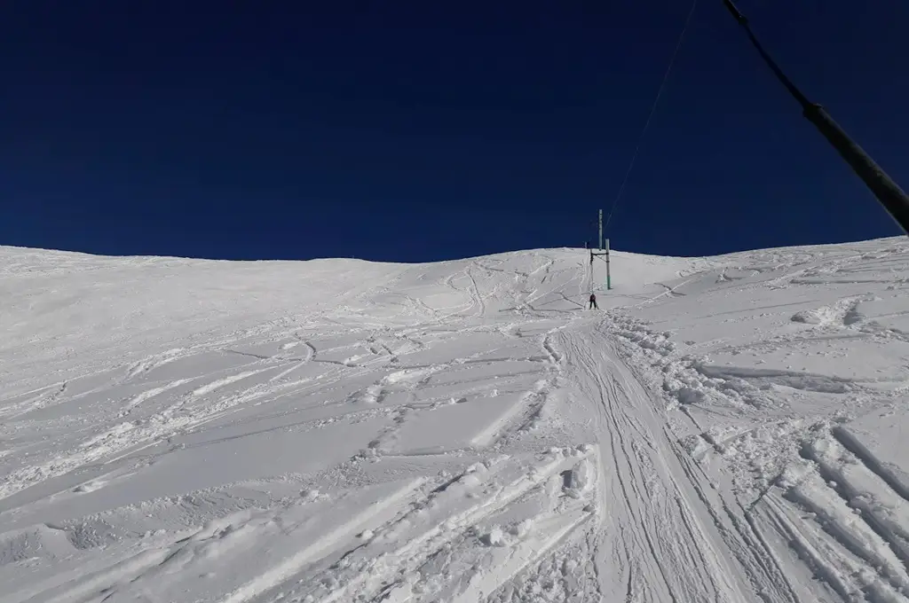 پیست دیزین؛ آلپ ایران