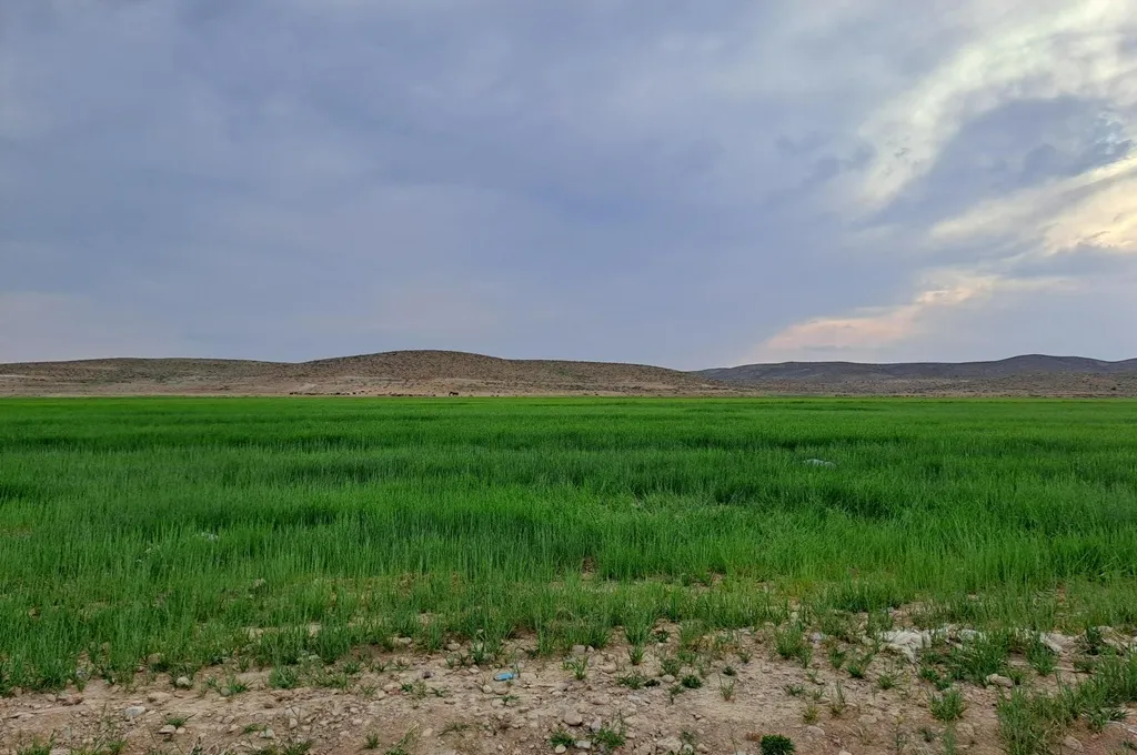 مسیر ریلی اصفهان به شیراز