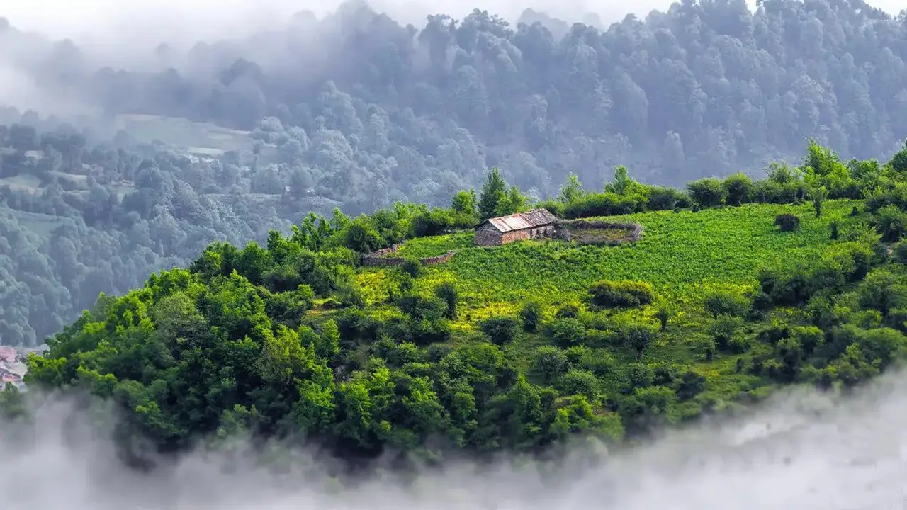 12 گردشگر گم‌شده در فیلبند پیدا شدند