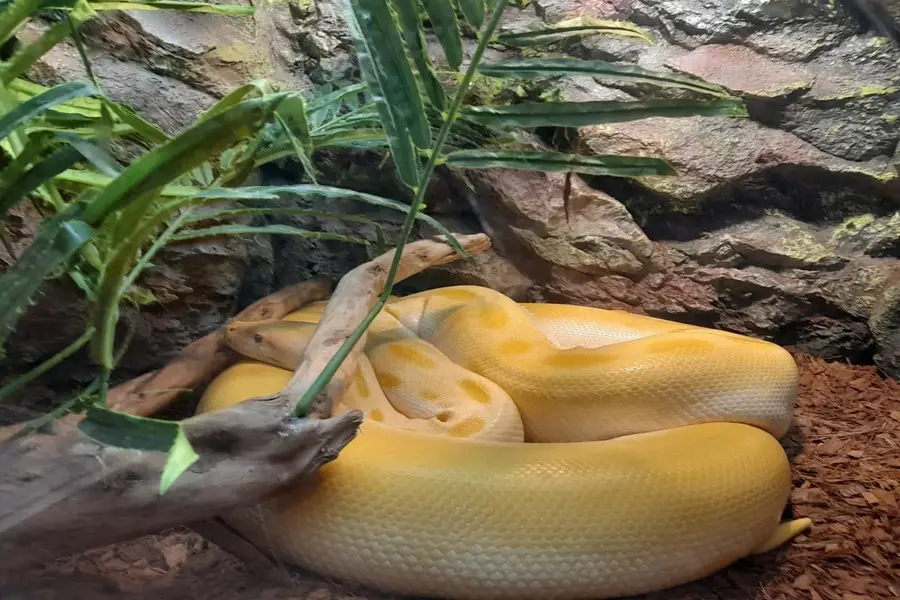 بخش خزندگان در آکواریوم انزلی