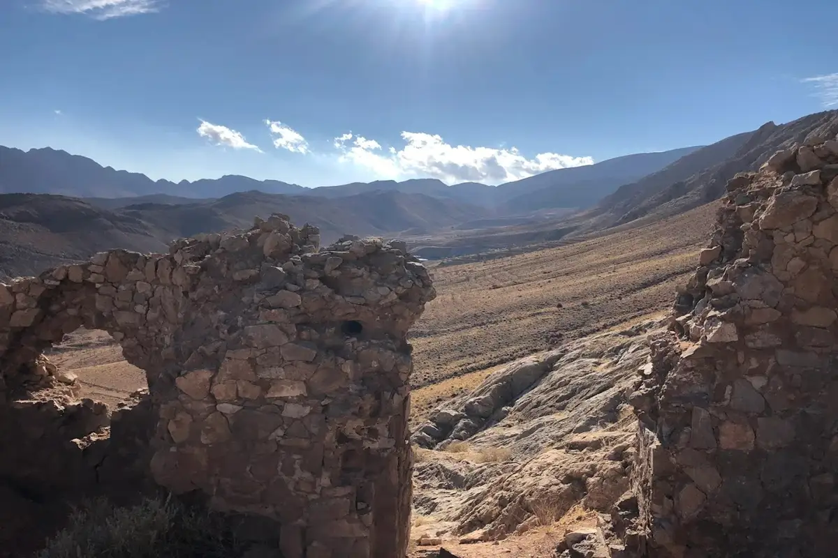 همه چیز درباره شیر قلعه