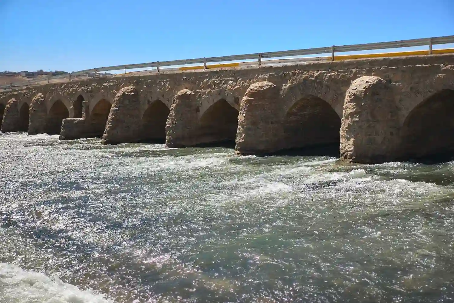 همه چیز درباره پل اورگان