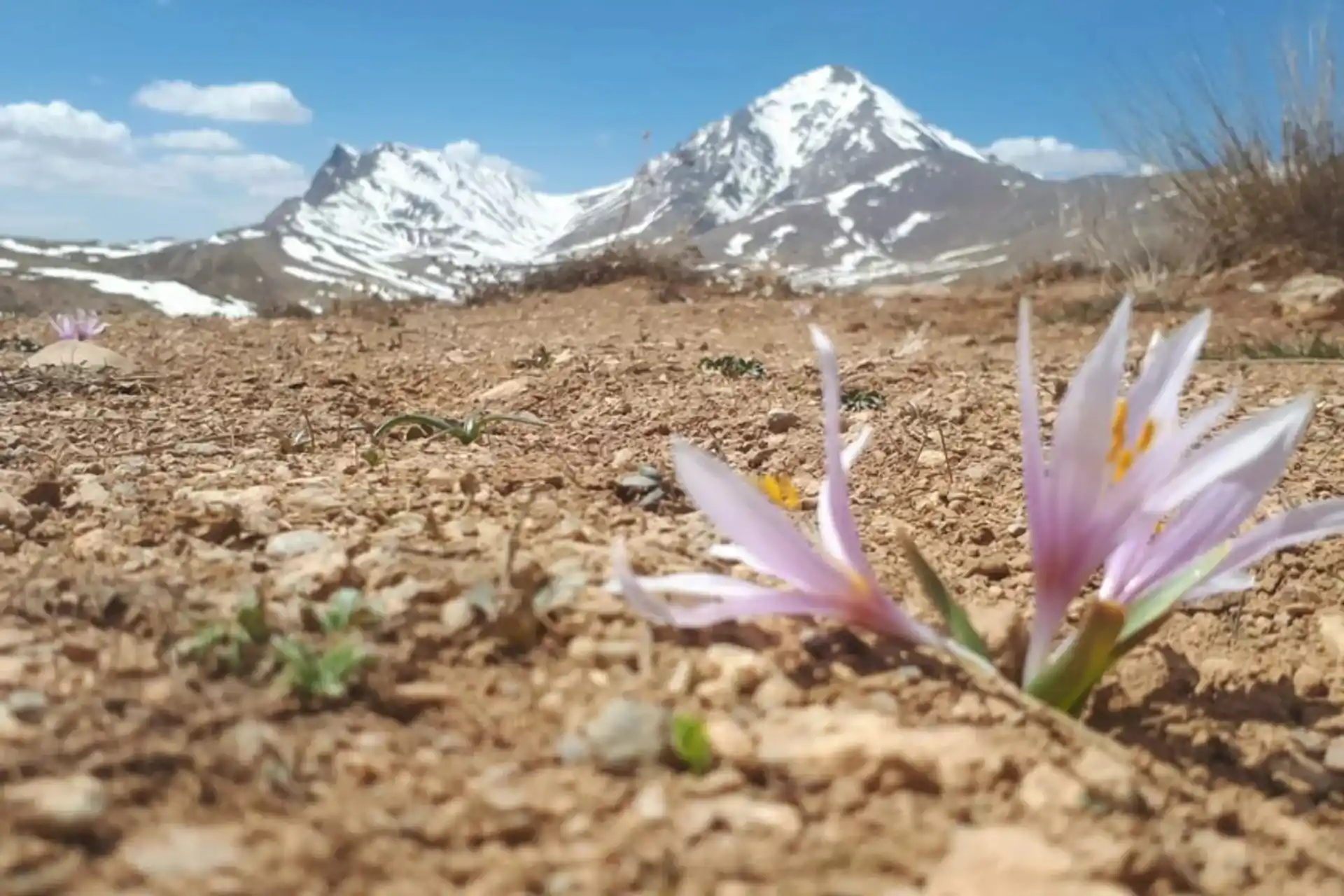 طبیعت روستای انالوجه