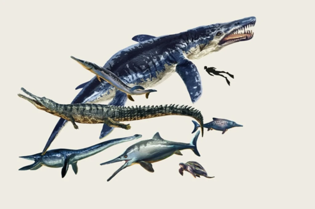 زنجیره غذایی دریایی در دوران باستان
