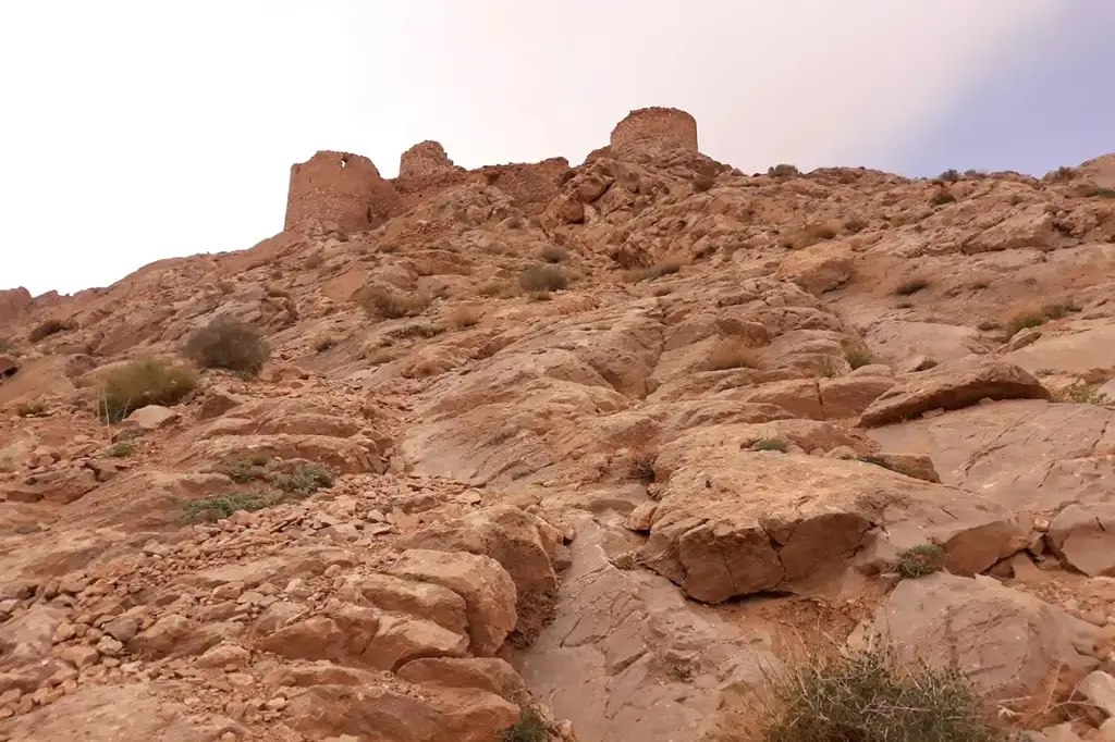 جزئیات معماری شیر قلعه شهمیرزاد