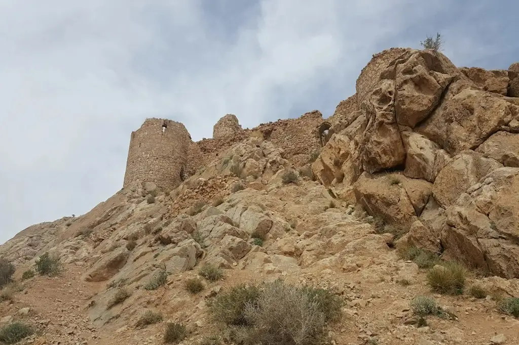 معماری شیر قلعه