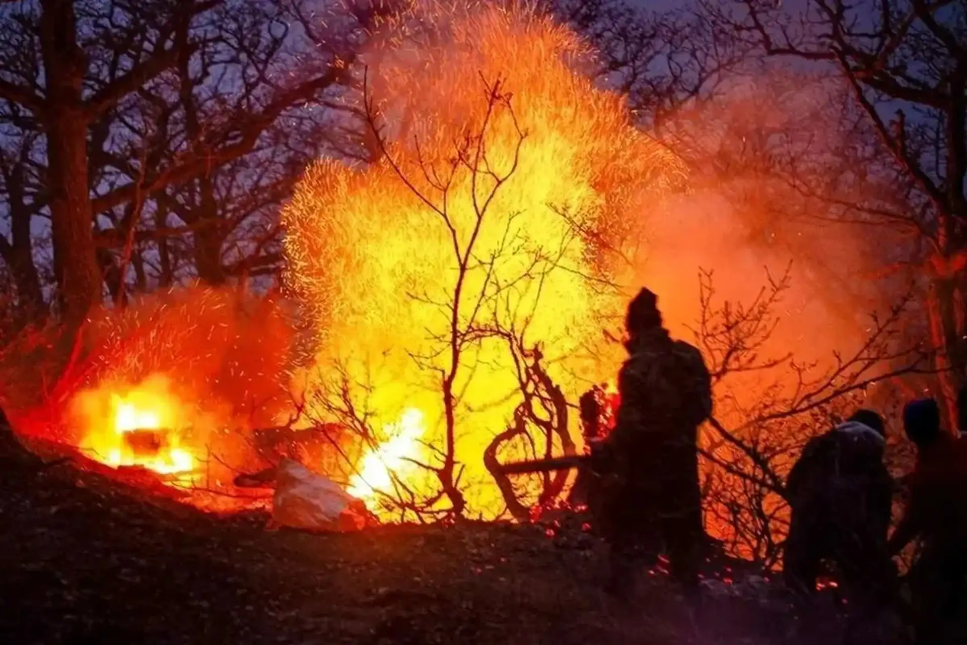 ممنوعیت ورود به جنگل‌های شمال تا بارش موثر باران