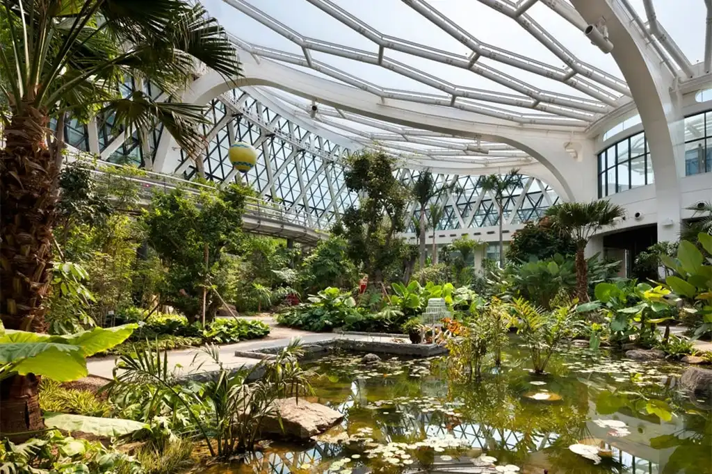 بهترین زمان بازدید از باغ گیاه‌شناسی سئول