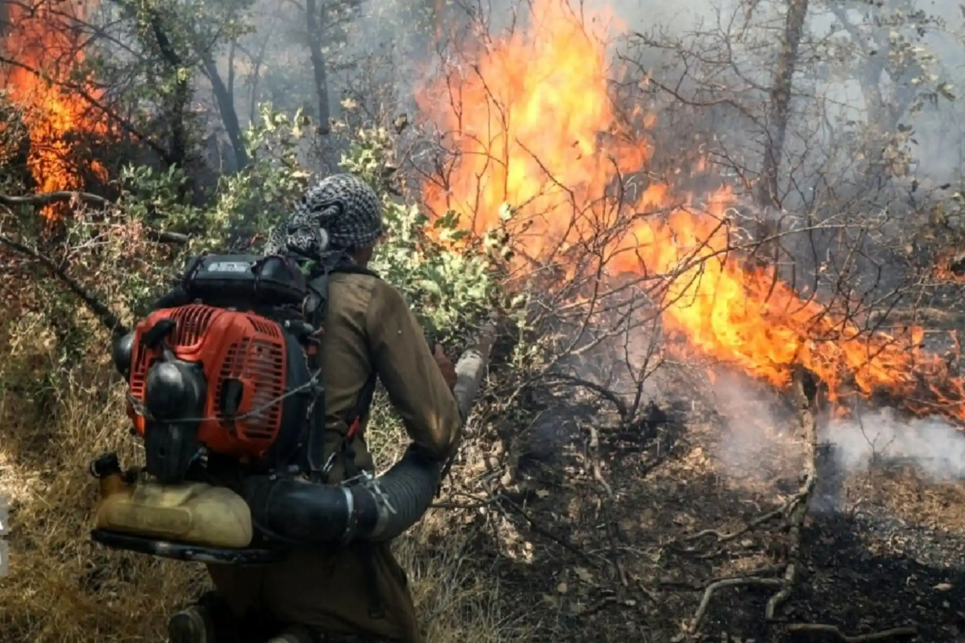 مقصر آتش‌سوزی جنگل‌های هیرکانی کیست؟