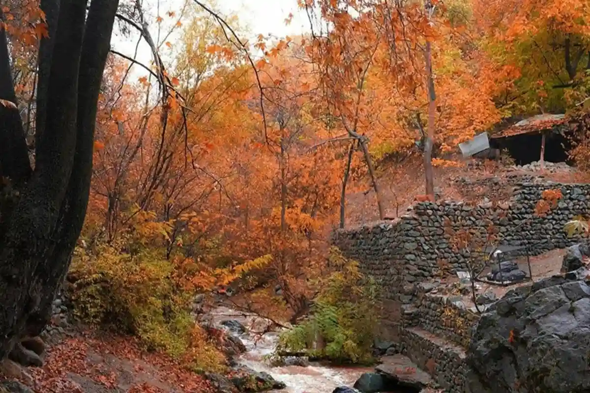 درکه برای عکاسی در پاییز