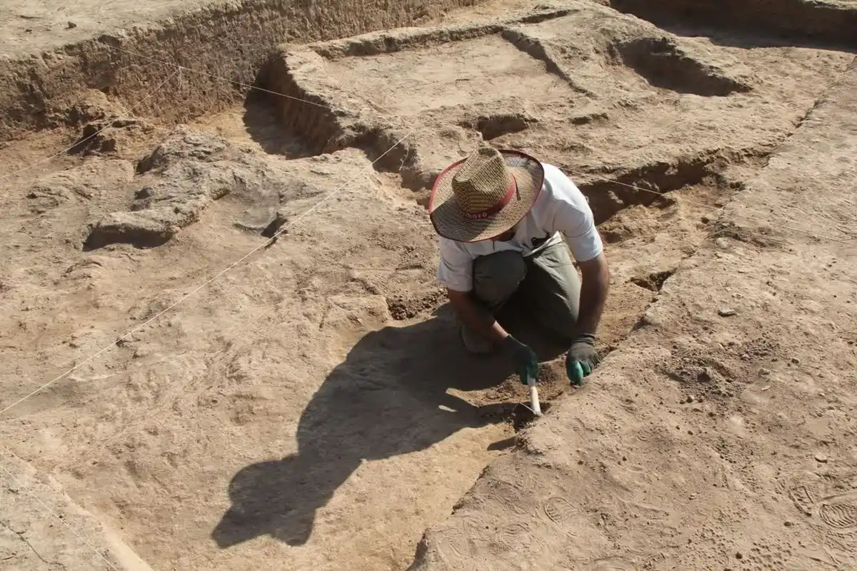 کشف 8 اسکلت باستانی در تپه ابراهیم آباد