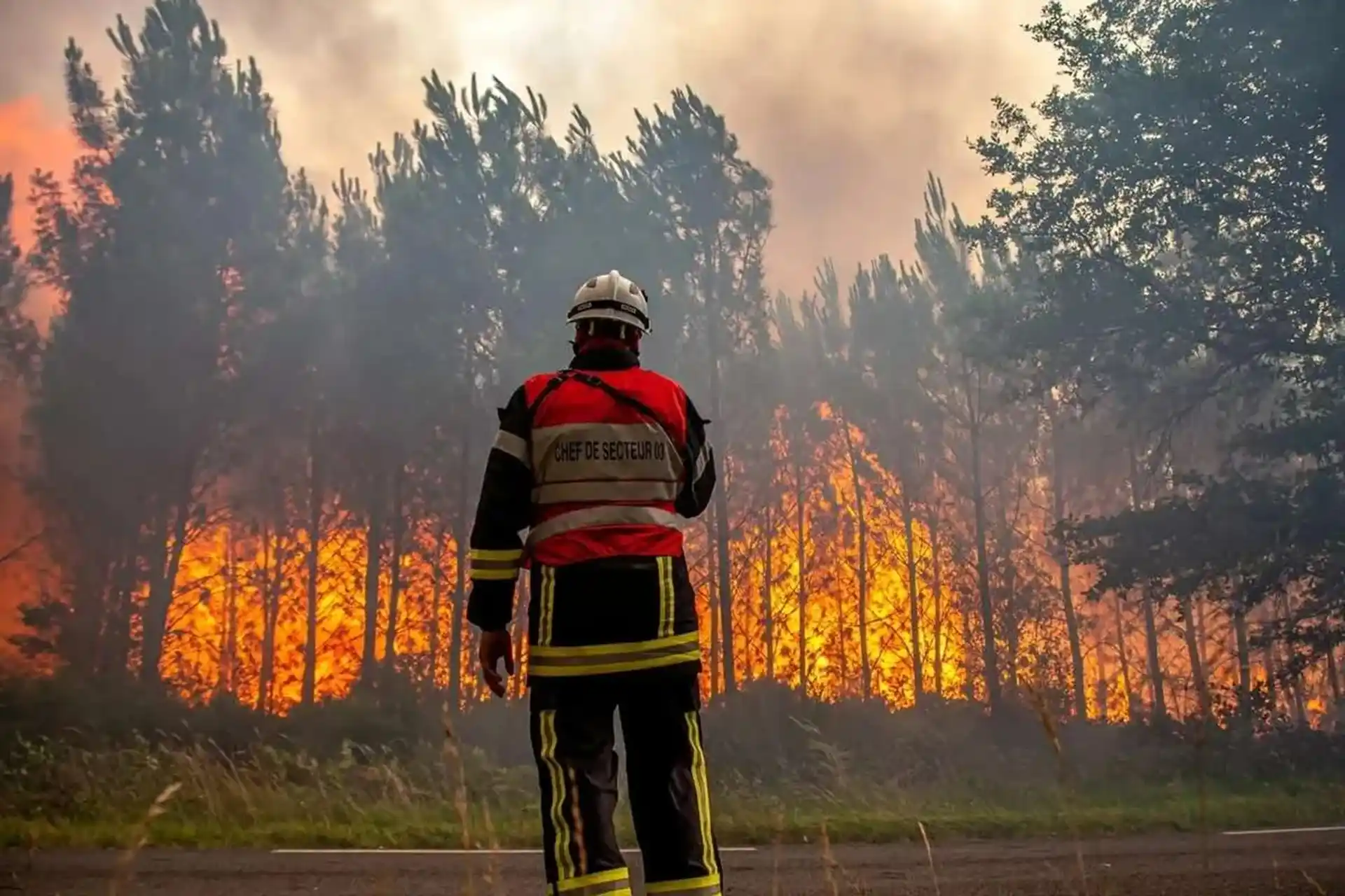 پایان عملیات اطفای حریق در جنگل‌های هیرکانی