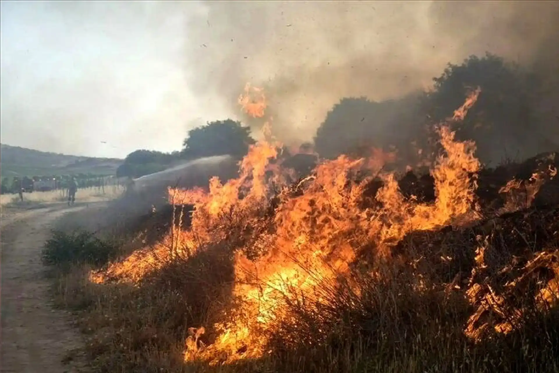 میزان خسارت در آتش‌سوزی جنگل هیرکانی تا امروز