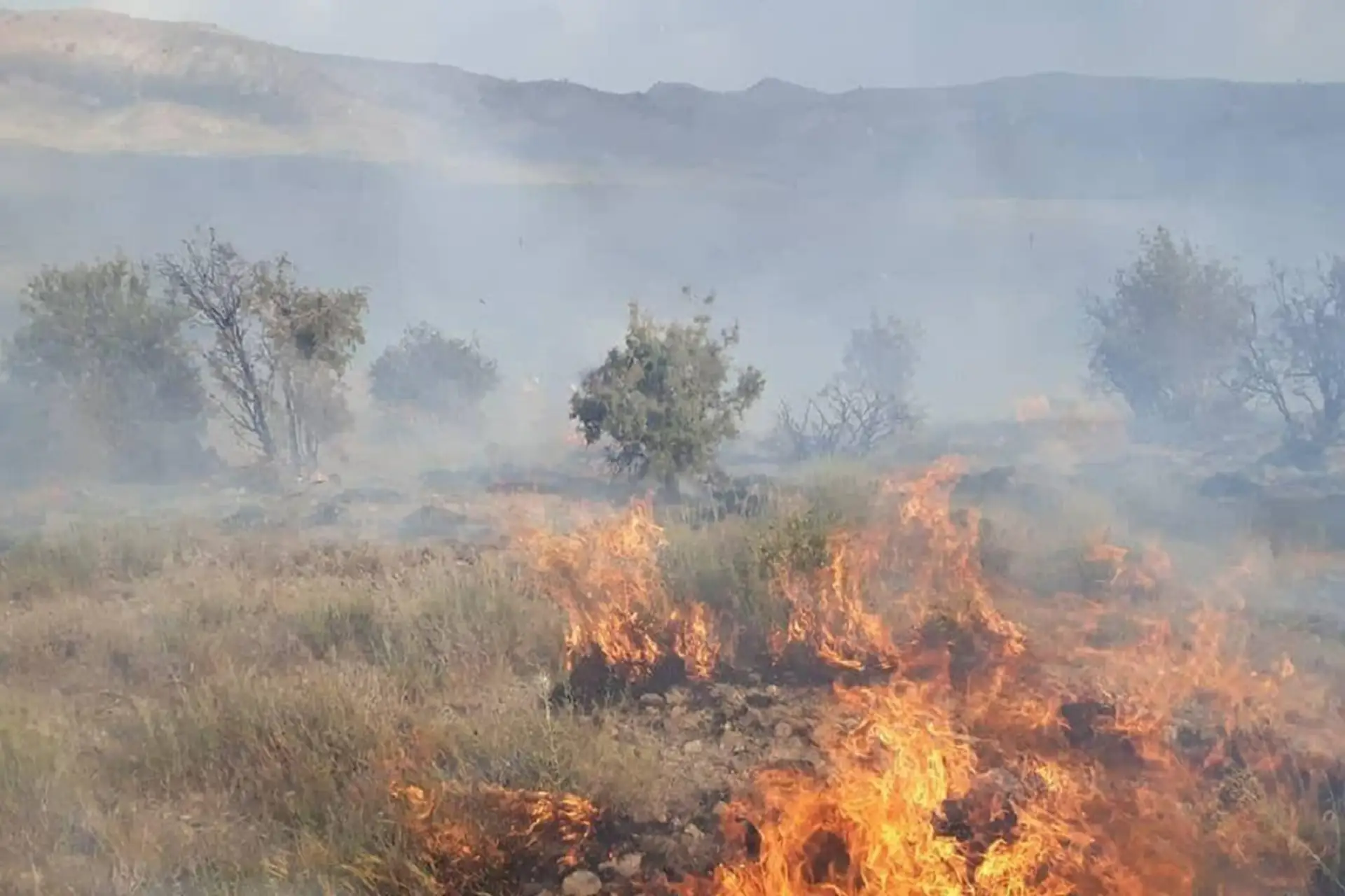 جنگل‌های دیزماز در آتش می‌سوزند