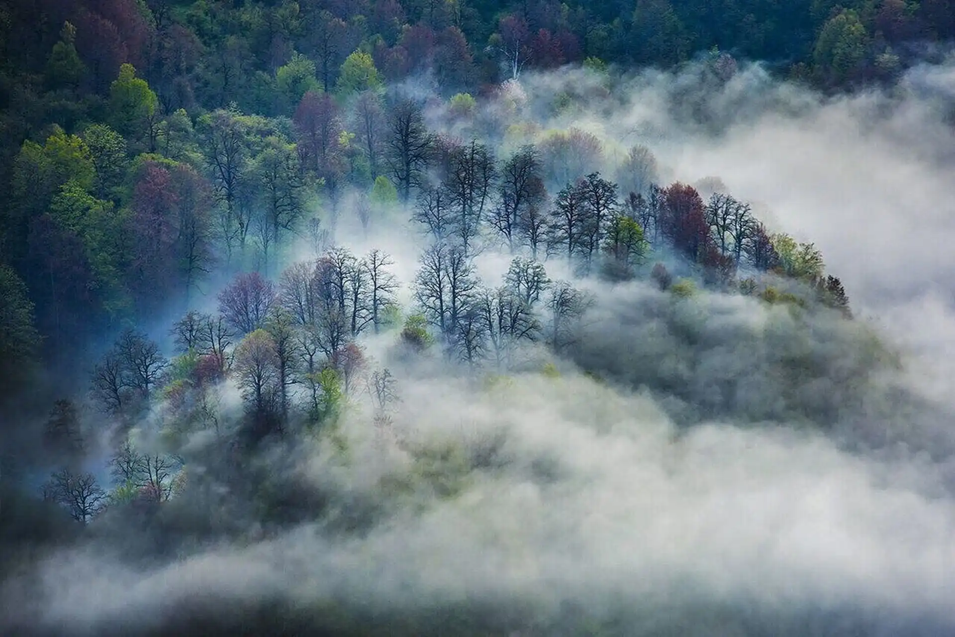 تصاویر ناسا از آتش‌سوزی جنگل‌های هیرکانی