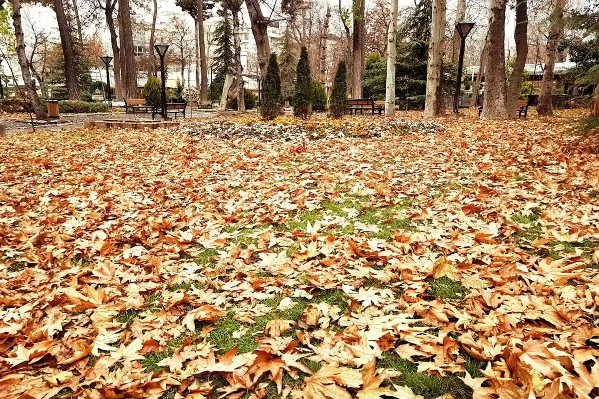 باغ‌موزه هنر ایرانی برای عکاسی در پاییز