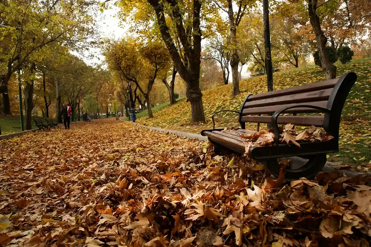 پارک ملت تهران برای عکاسی در پاییز