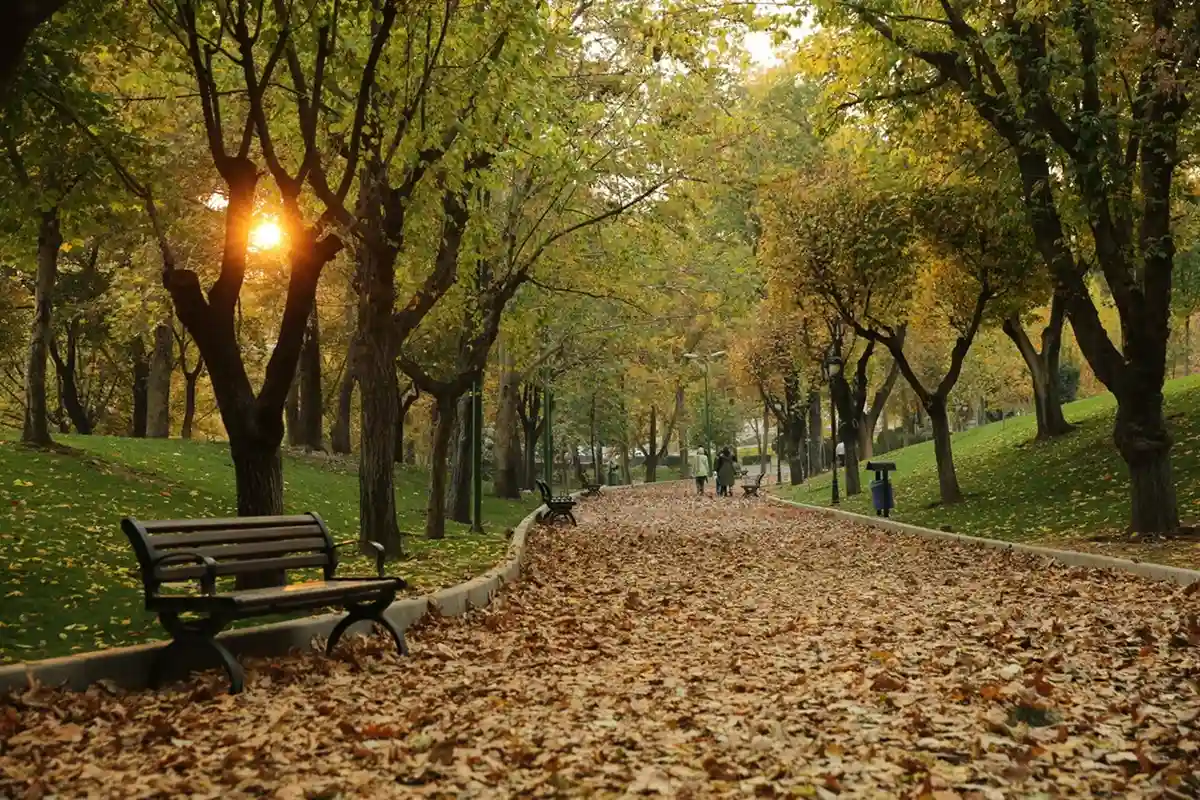 پارک نیاوران برای عکاسی در پاییز