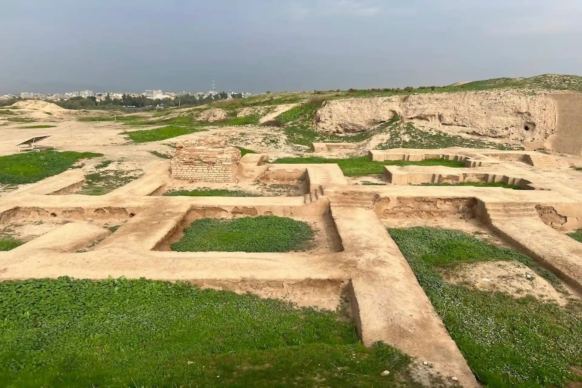 ایمن‌سازی 253 اثر کاخ آپادانا شوش