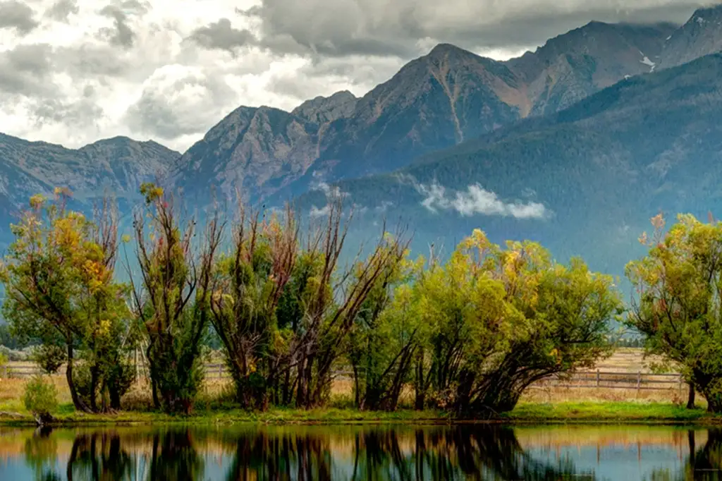 پارک جنگلی شورآب