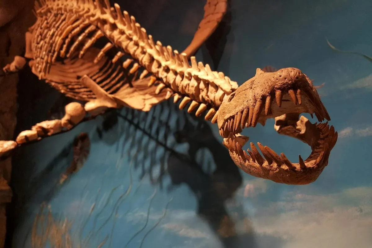 کشف ابرشکارچی سطح 7