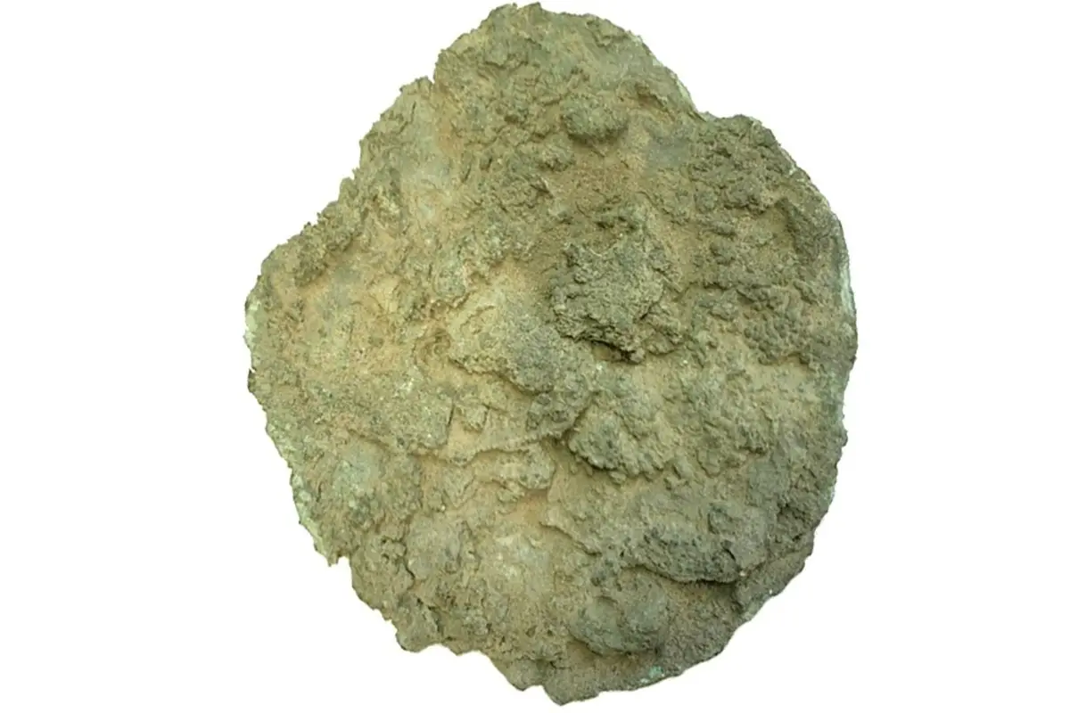 کشف شی تاریخی در سوئد که پژوهشگران در غافلگیر کرد