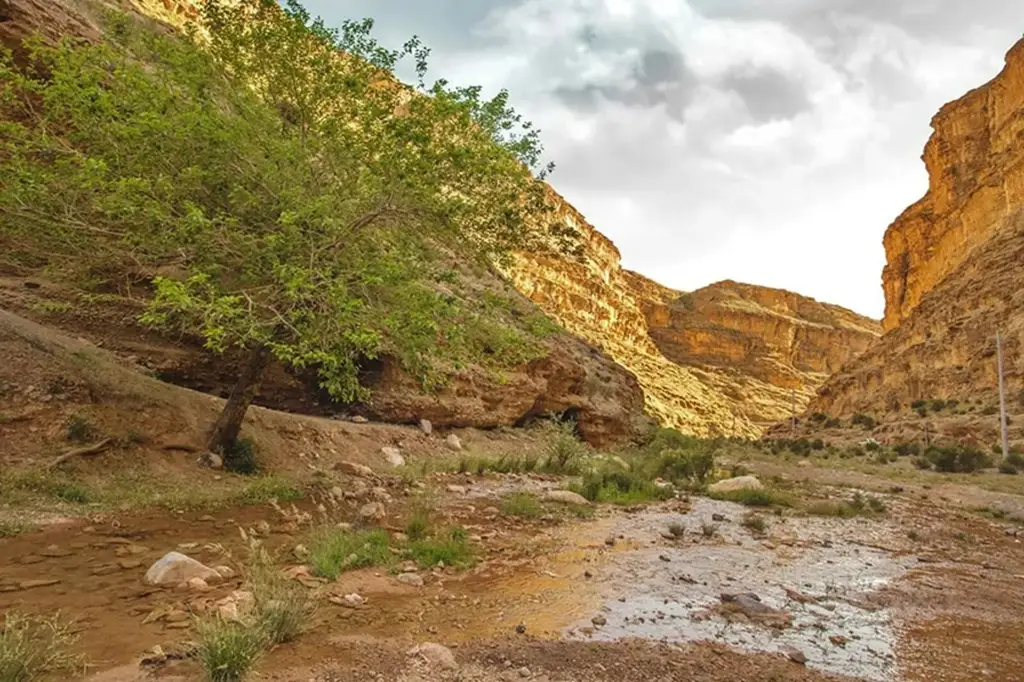جاذبههای روستای واران