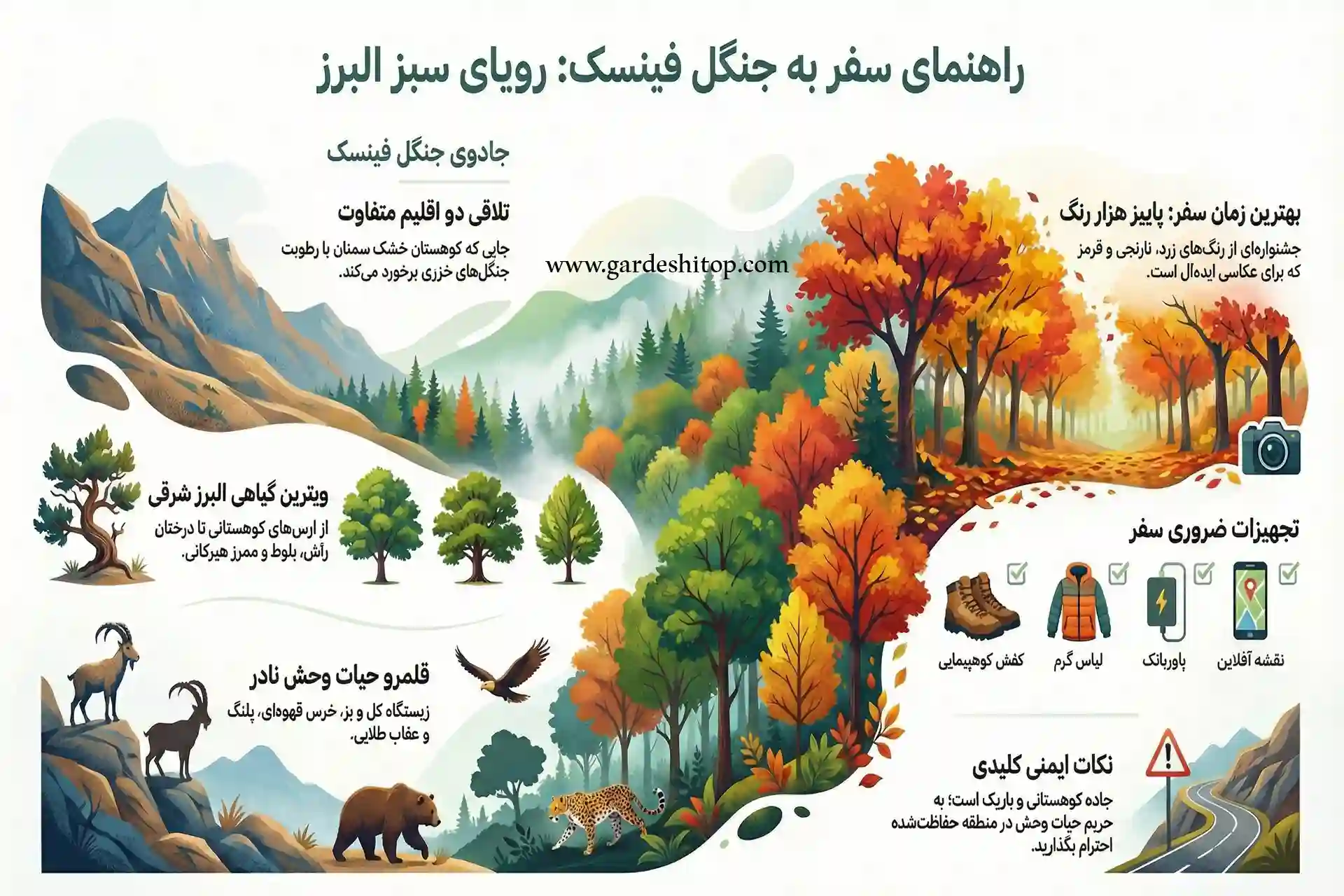 همه چیز درباره جنگل فینسک