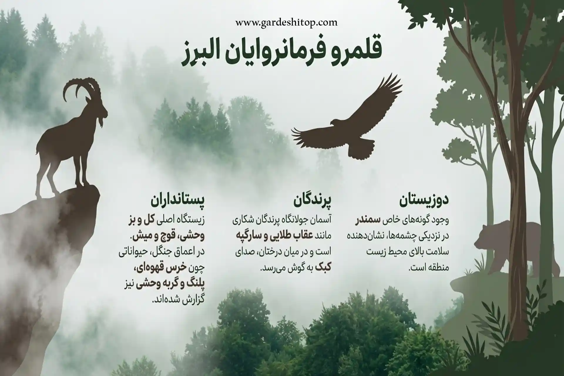 حیات وحش جنگل فینسک