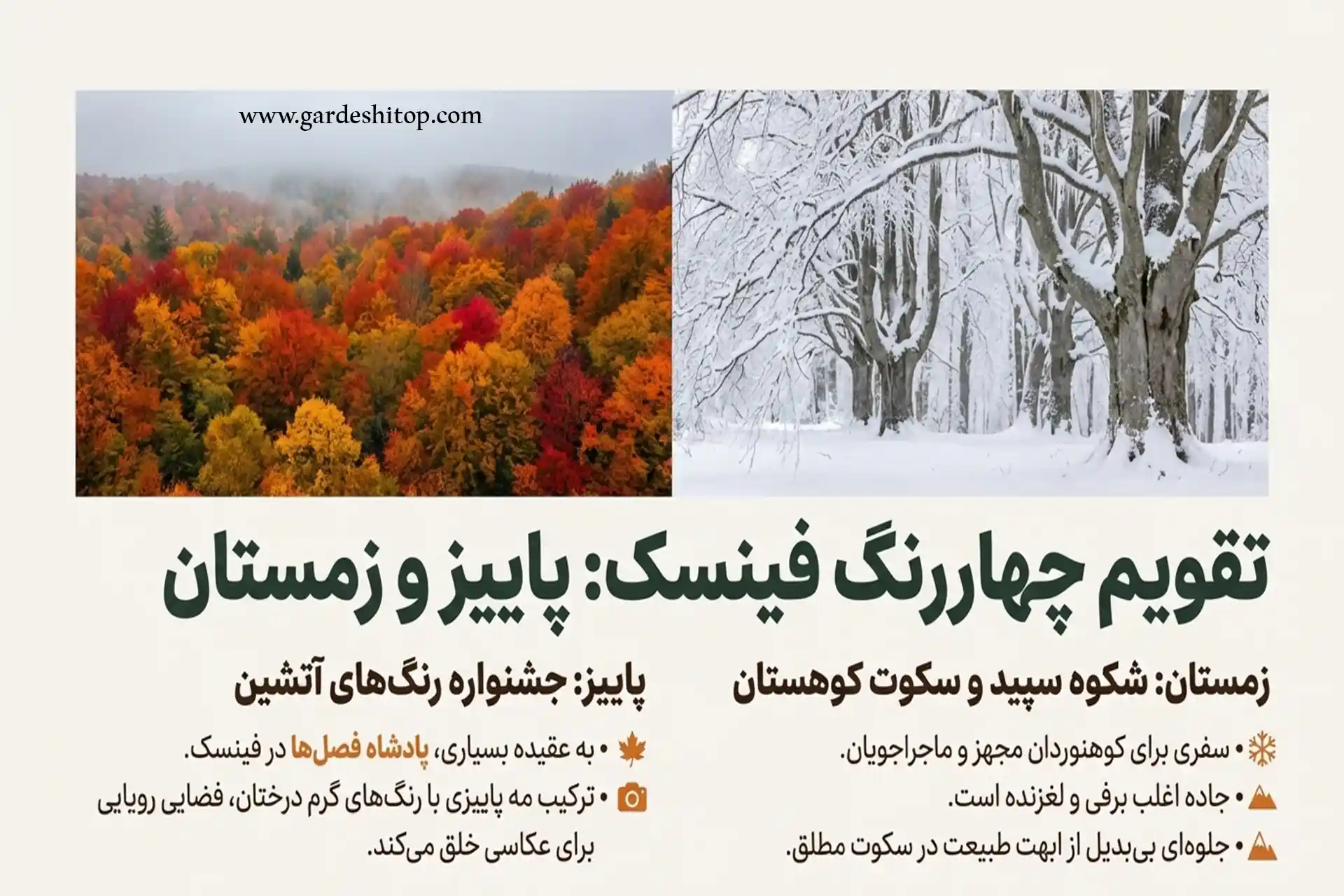 جنگل فینسک در پاییز و زمستان