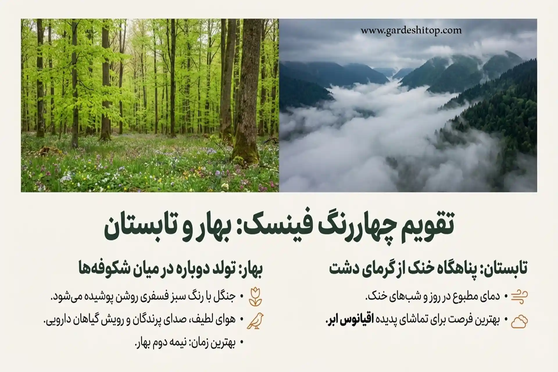 جنگل فینسک در بهار و تابستان