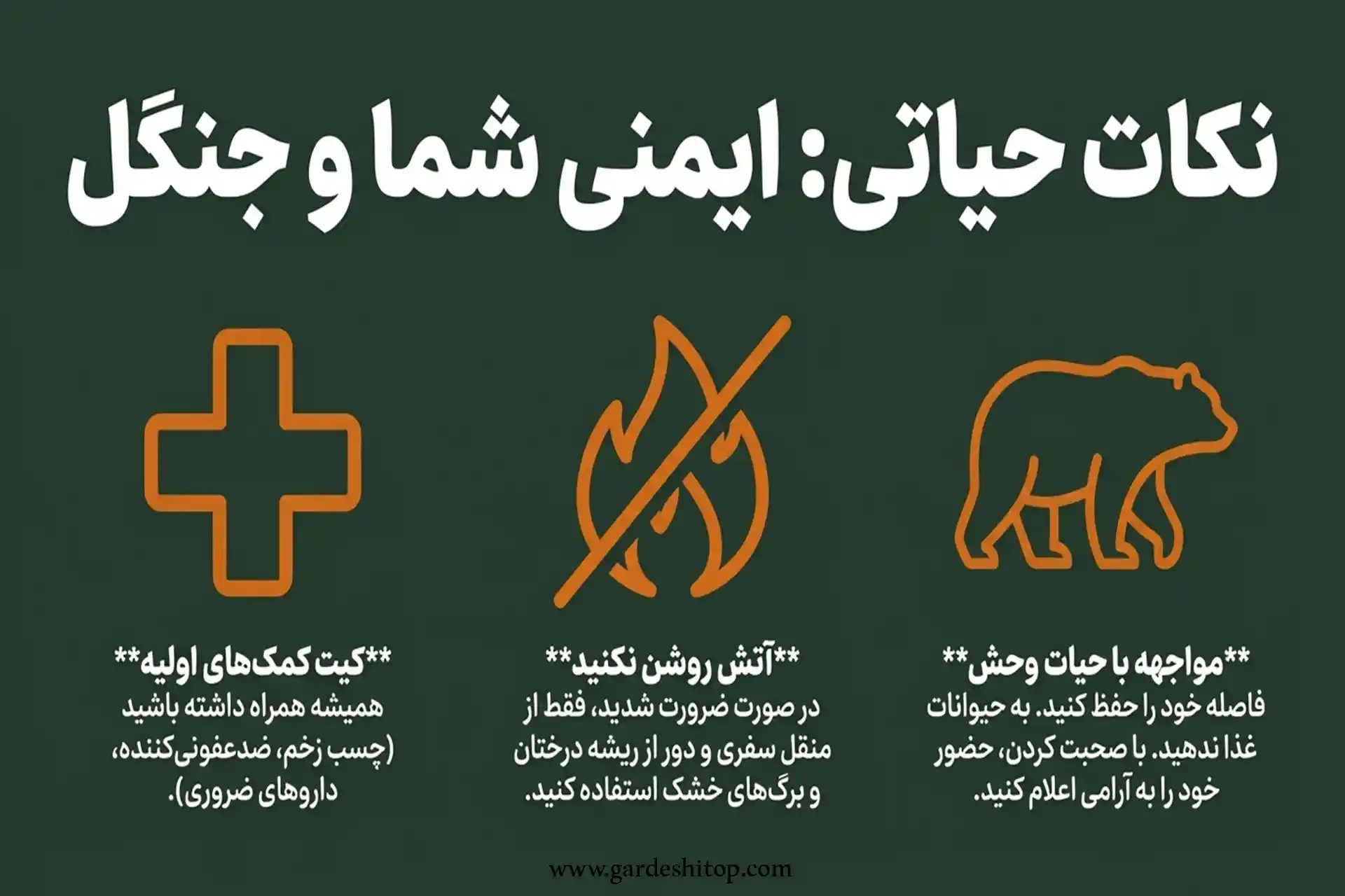 نکات ایمنی در سفر به جنگل هیرکانی فینسک