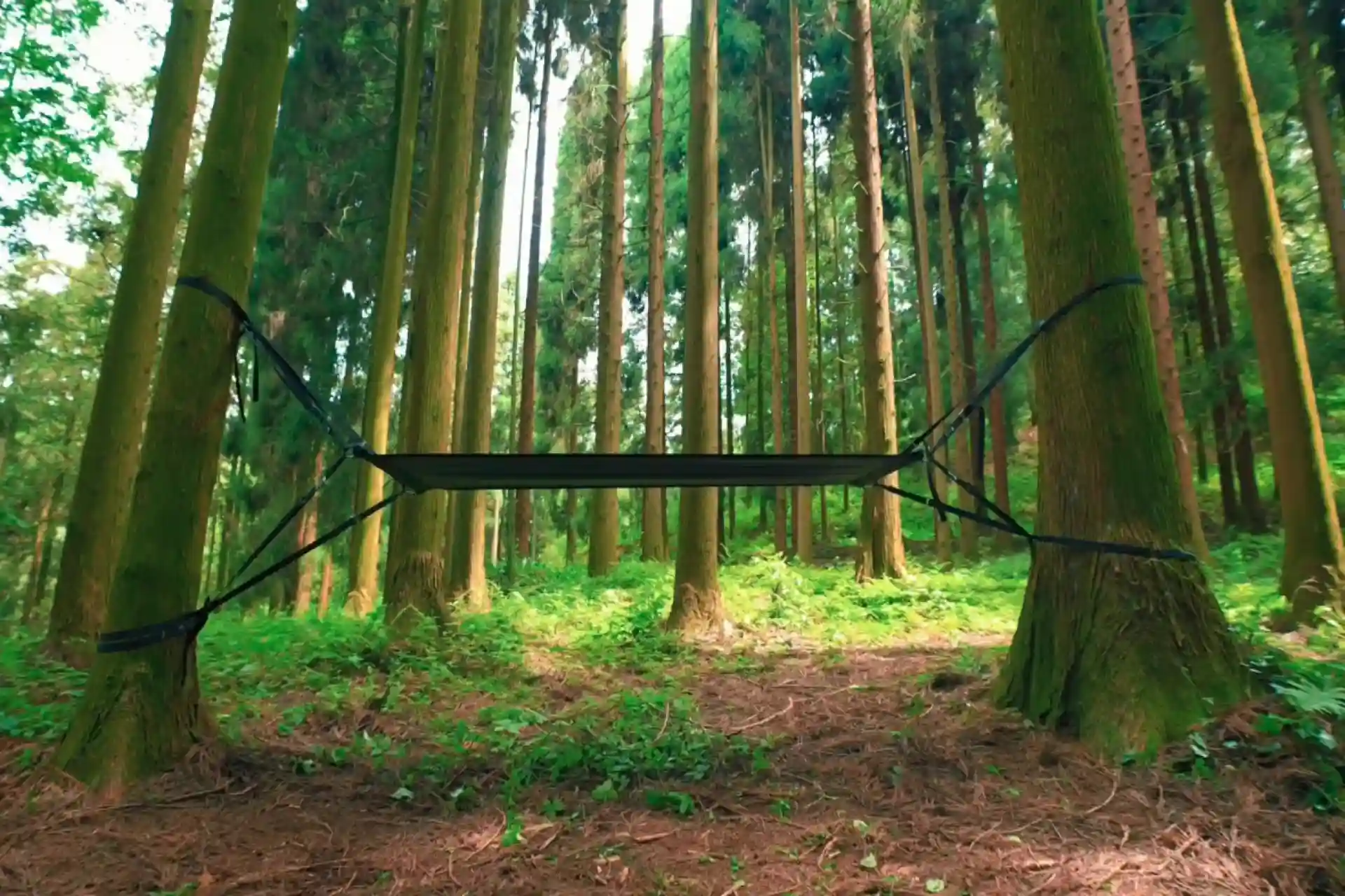 سطح نگهدارنده چادر فلوت در حالت معلق