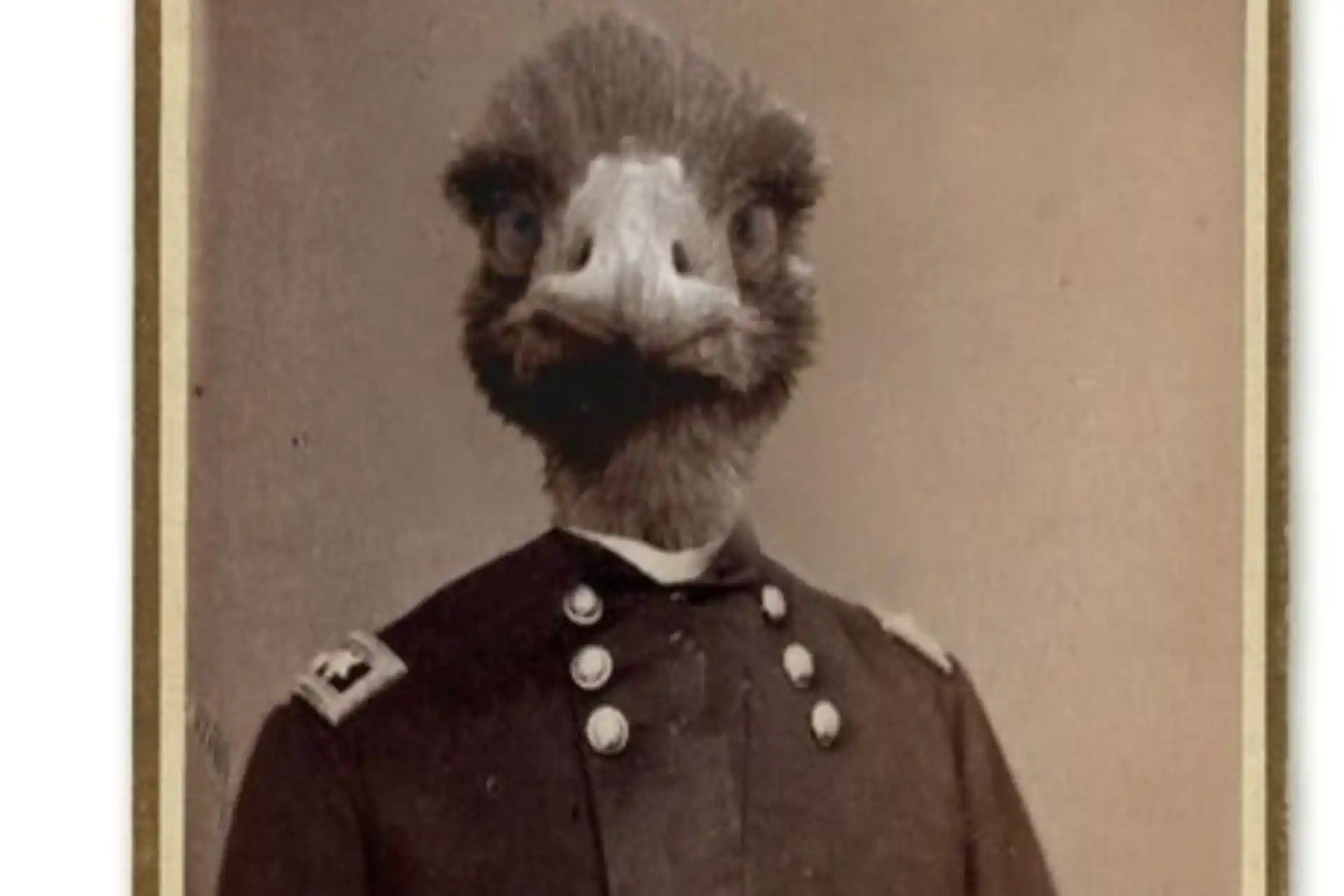 پایان جنگ بزرگ ایمو با پیروزی ایموها