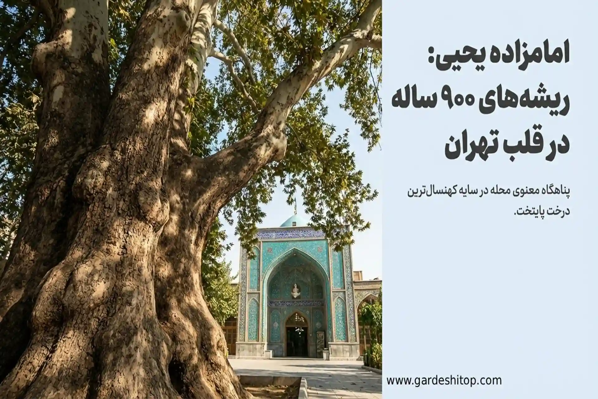 امامزاده یحیی در محله عودلاجان
