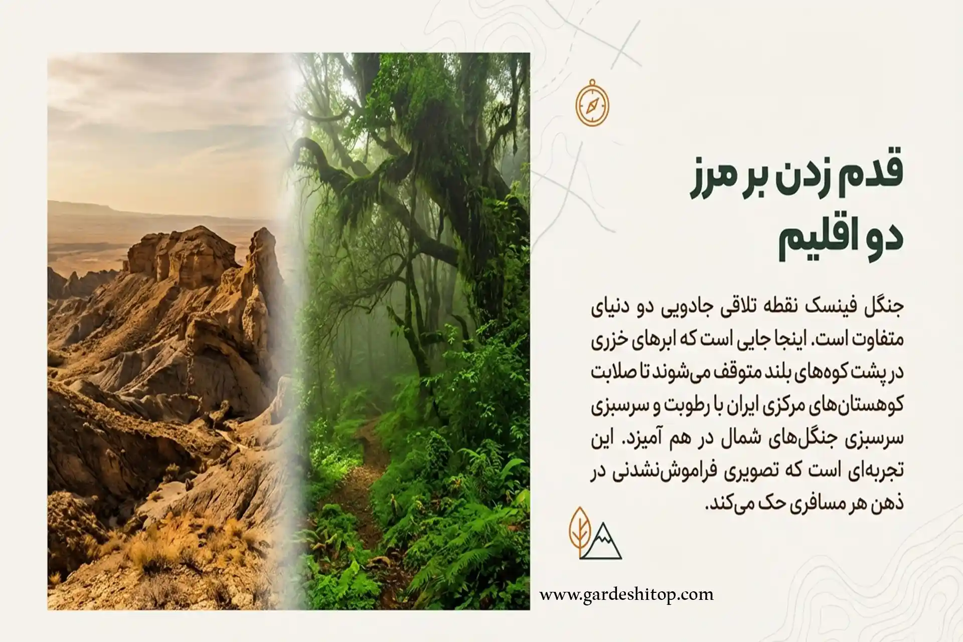 معرفی جنگل فینسک