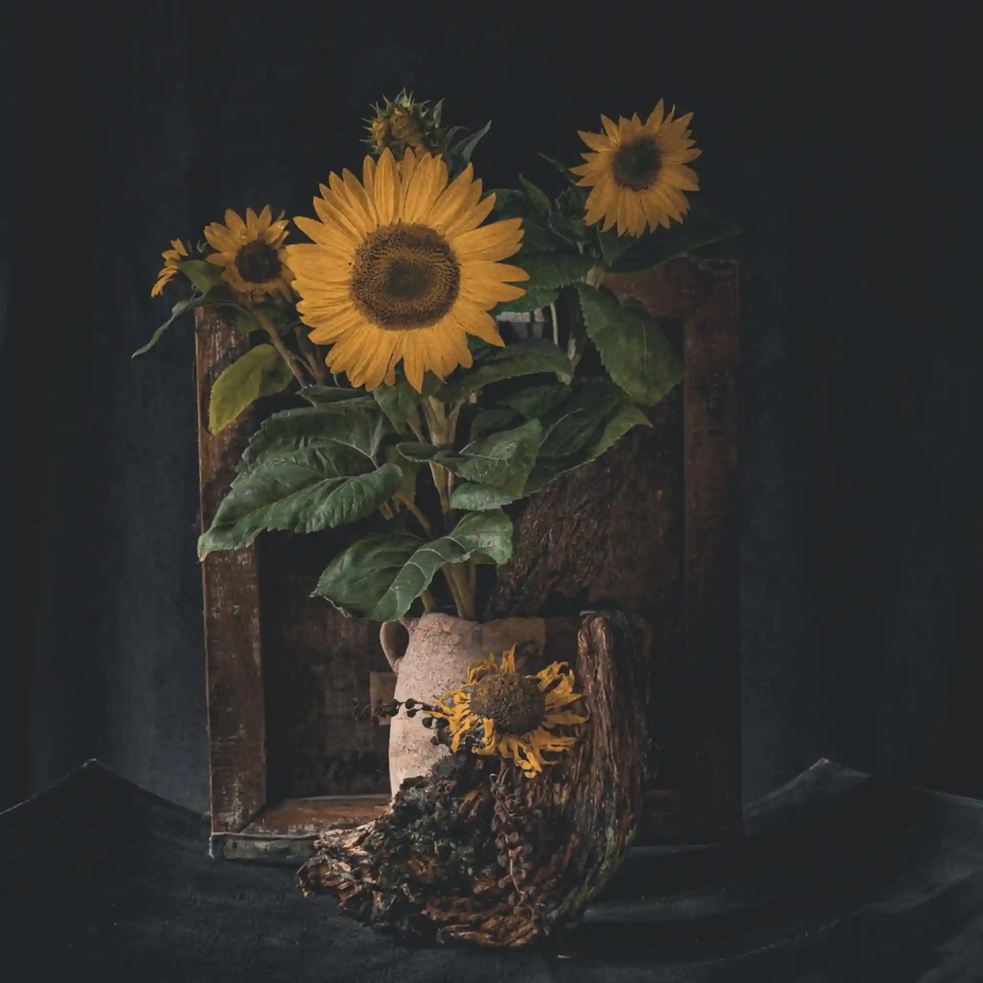 دسته‌گل آفتاب‌گردان در مجموعه جستجوی زیبایی رنگ زرد