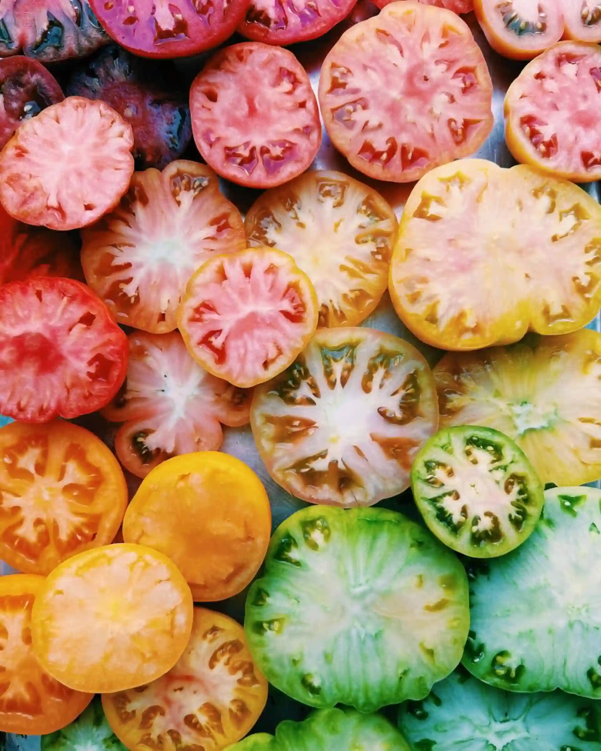 ثبت گوجه فرنگی‌های رنگارنگ توسط بریتنی رایت